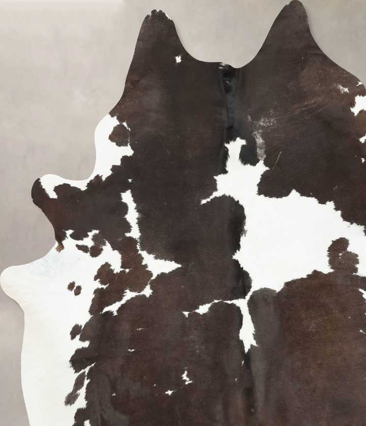 Chocolate and White XX-Large Brazilian Cowhide Rug 8'8"H x 7'2"W #B16759 by Hudson Hides