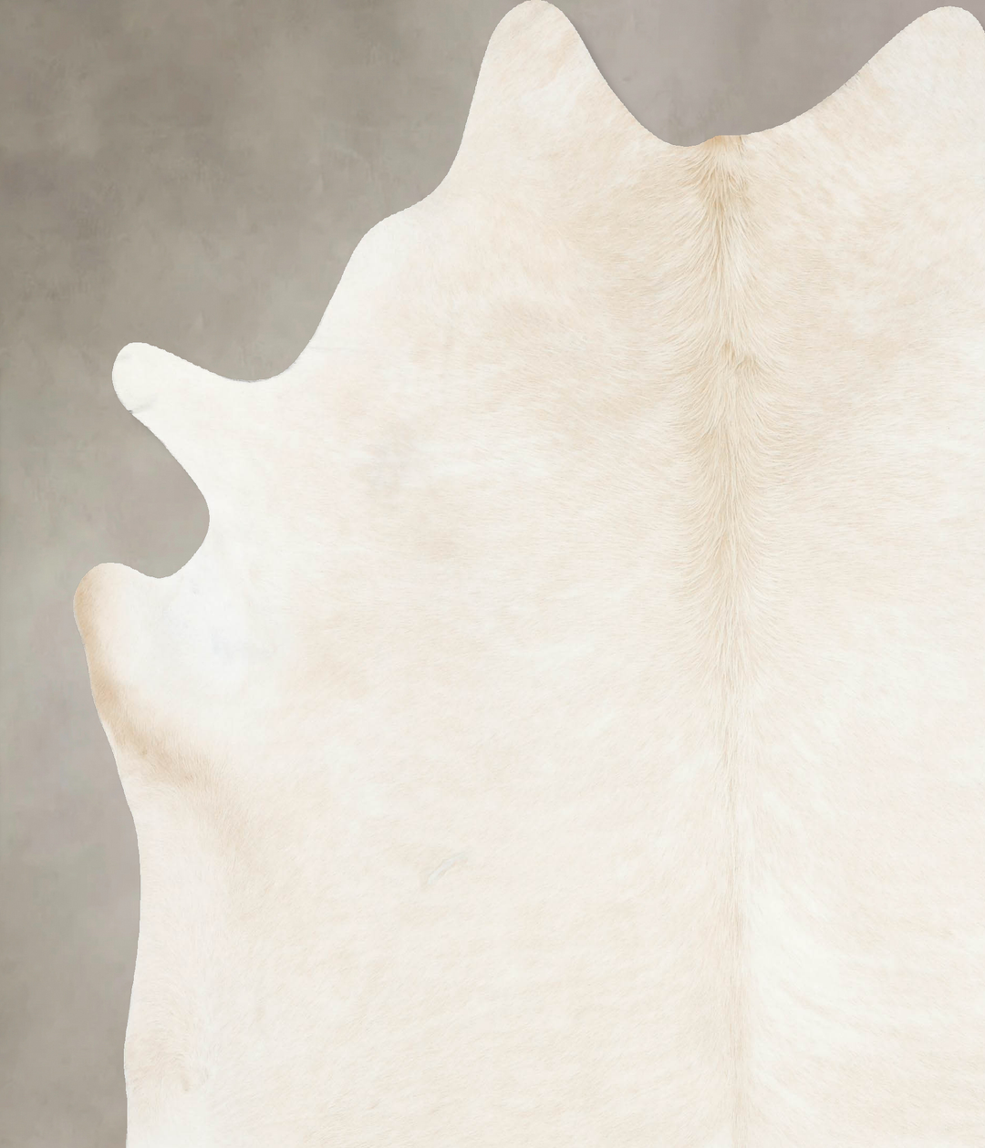 Palomino XX-Large Brazilian Cowhide Rug 8'1"H x 7'4"W #B16784 by Hudso