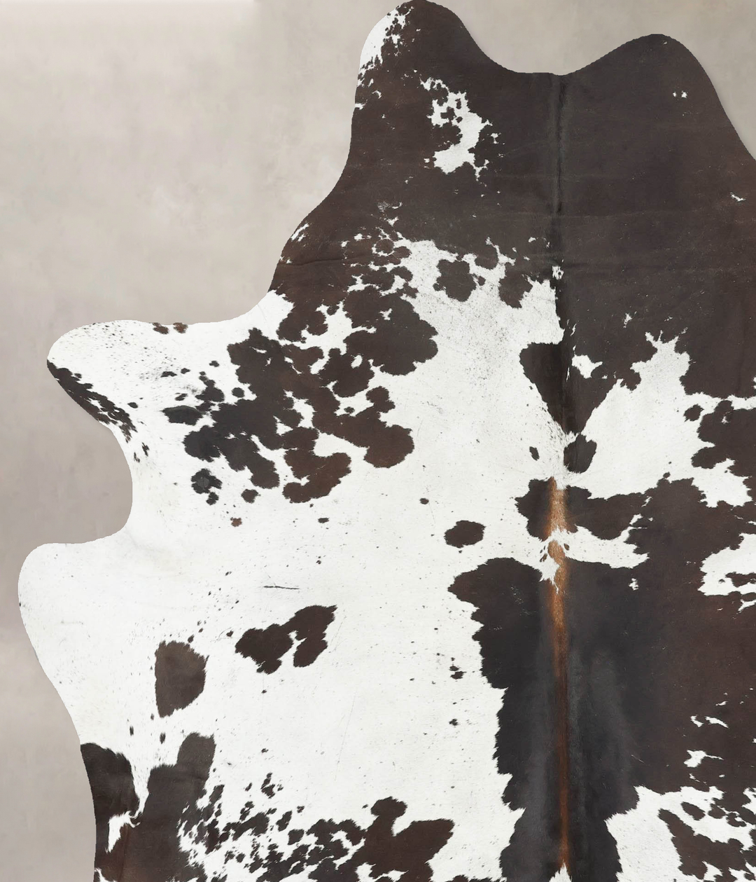 Chocolate and White XX-Large Brazilian Cowhide Rug 7'10"H x 6'5"W #B16
