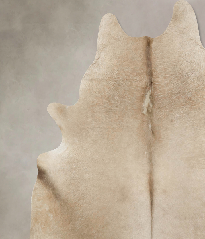 Champagne XX-Large Brazilian Cowhide Rug 7'11"H x 7'3"W #B16795 by Hudson Hides
