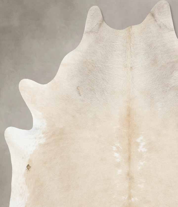 Palomino XX-Large Brazilian Cowhide Rug 8'0"H x 6'4"W #B16799 by Hudson Hides
