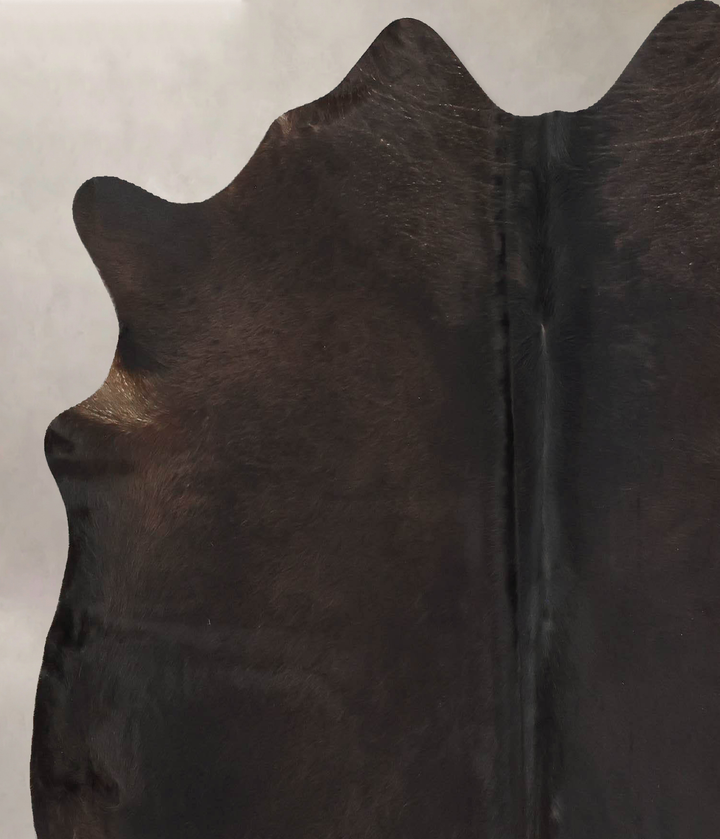 Chocolate Large Brazilian Cowhide Rug 6'1"H x 5'11"W #B16807 by Hudson Hides