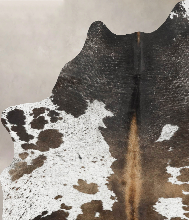 Chocolate and White Large Brazilian Cowhide Rug 6'10"H x 5'3"W #B16812 by Hudson Hides