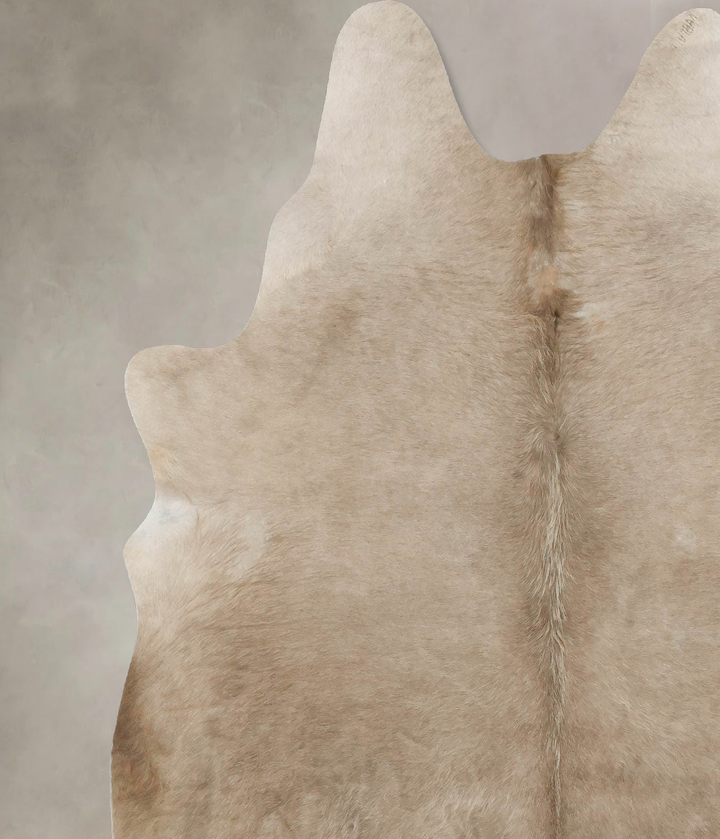 Taupe X-Large Brazilian Cowhide Rug 6'11"H x 5'10"W #B16815 by Hudson Hides