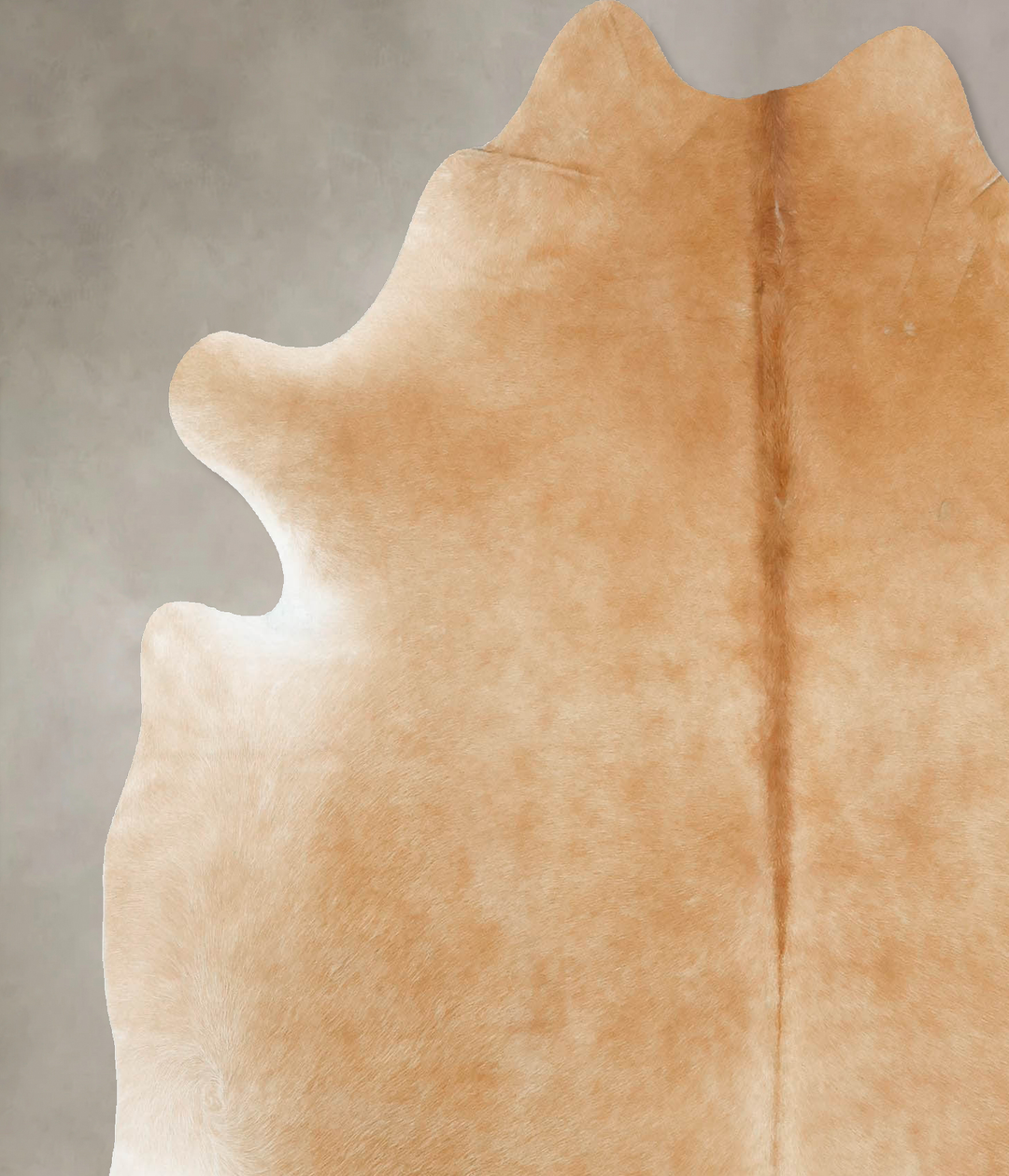 Beige Large Brazilian Cowhide Rug 6'5"H x 5'9"W #B16820 by Hudson Hide