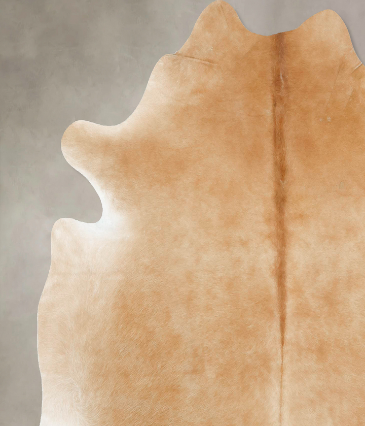 Beige Large Brazilian Cowhide Rug 6'5"H x 5'9"W #B16820 by Hudson Hides