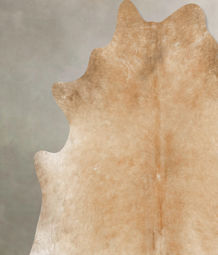 Palomino XX-Large Brazilian Cowhide Rug 7'7"H x 7'9"W #B16832 by Hudson Hides
