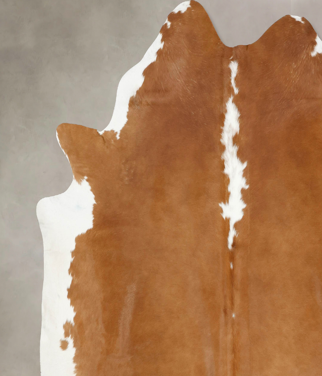 Brown and White Regular XX-Large Brazilian Cowhide Rug 8'4"H x 8'5"W #