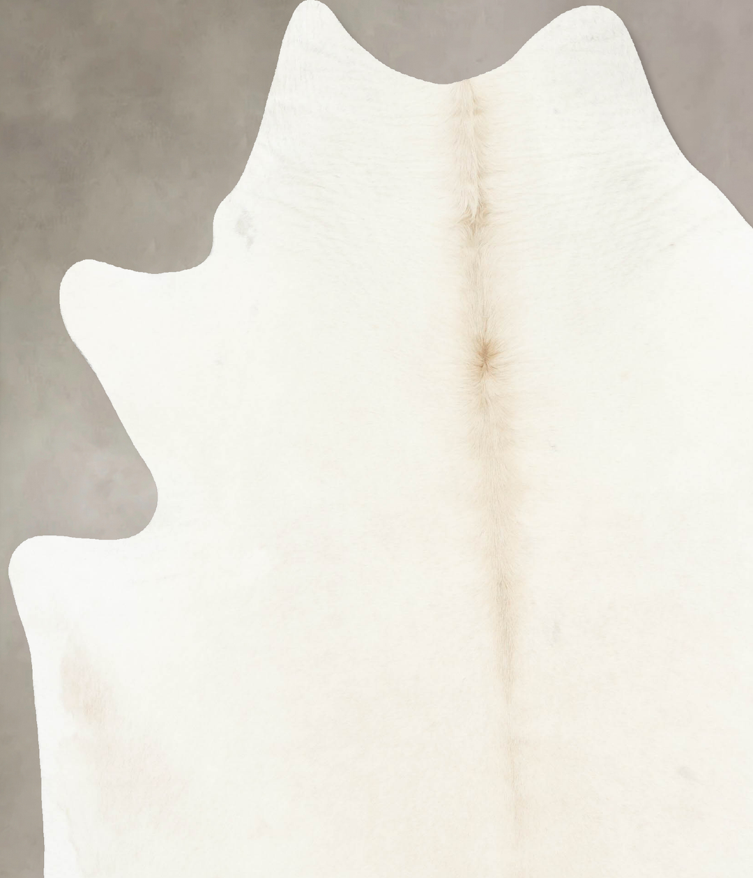 Ivory with Beige XX-Large Brazilian Cowhide Rug 8'0"H x 6'5"W #B16844 