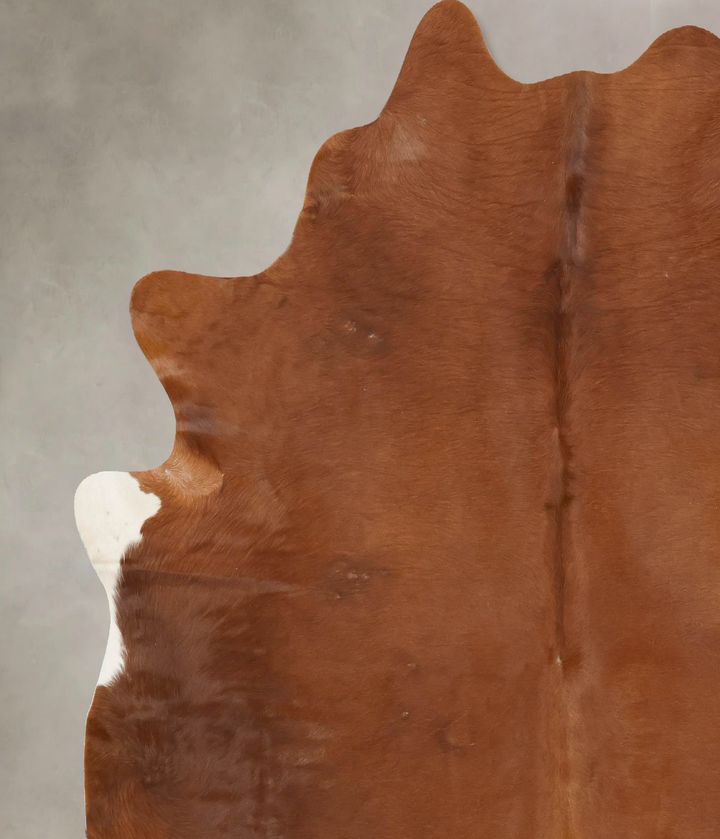 Solid Brown XX-Large Brazilian Cowhide Rug 7'8"H x 6'10"W #B16867 by Hudson Hides