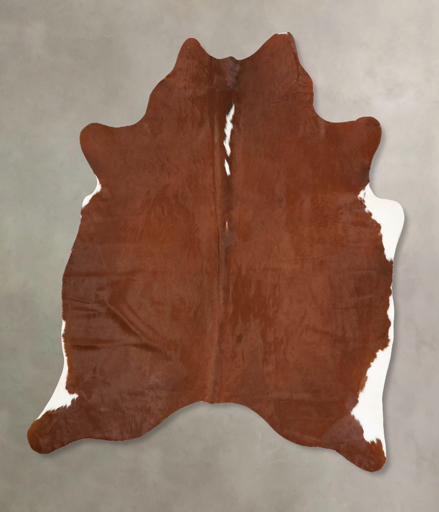 Brown and White Regular X-Large Brazilian Cowhide Rug 6'9"H x 6'2"W #B16873 by Hudson Hides
