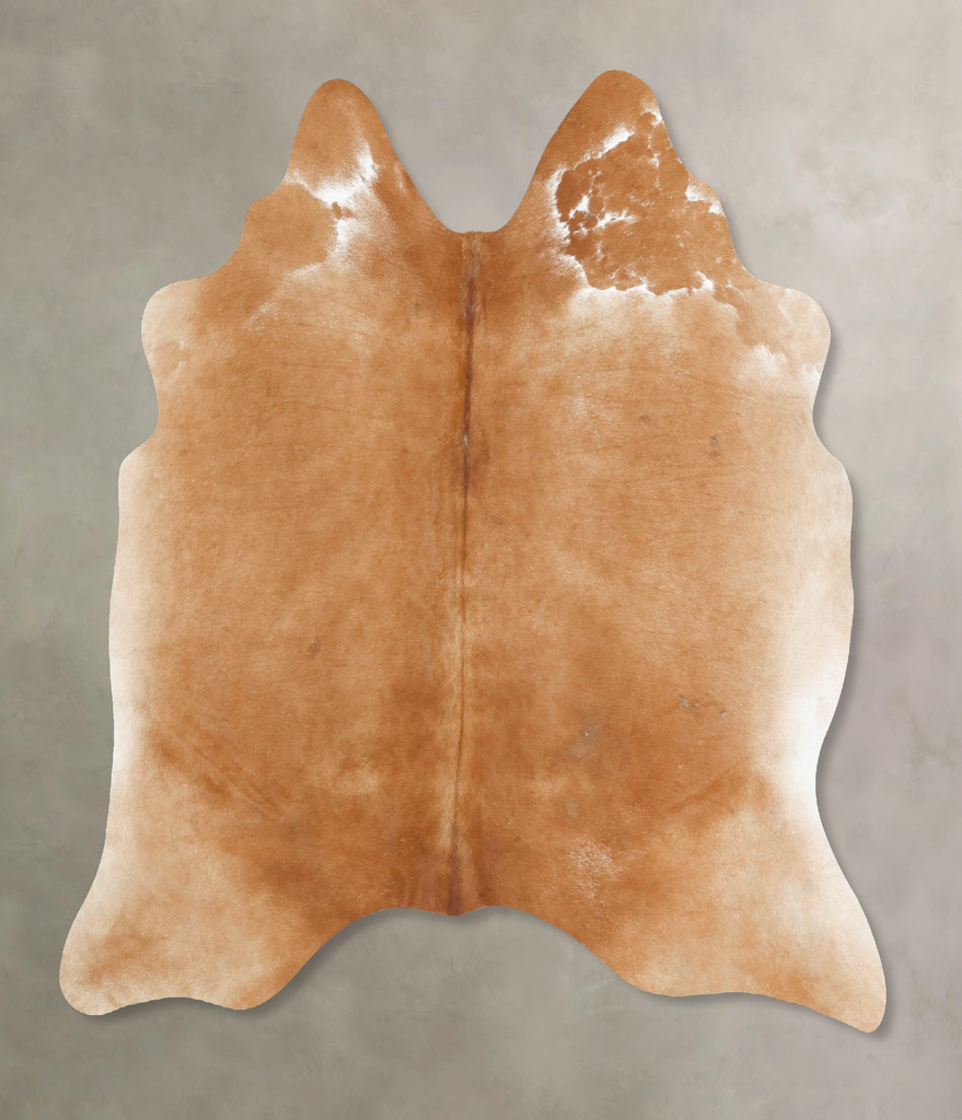 Beige Large Brazilian Cowhide Rug 5'9"H x 6'0"W #B16883 by Hudson Hides