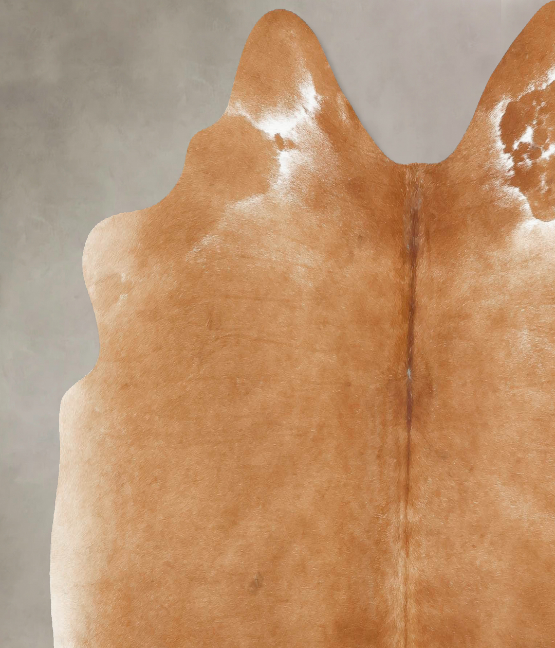 Beige Large Brazilian Cowhide Rug 5'9"H x 6'0"W #B16883 by Hudson Hide