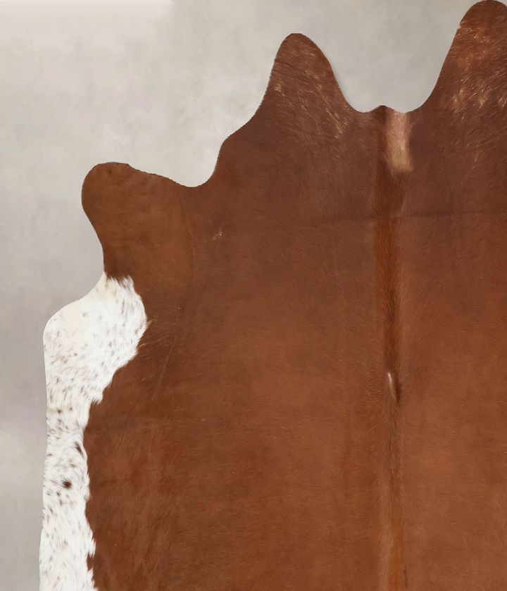 Brown and White Regular XX-Large Brazilian Cowhide Rug 7'1"H x 7'2"W #B16887 by Hudson Hides