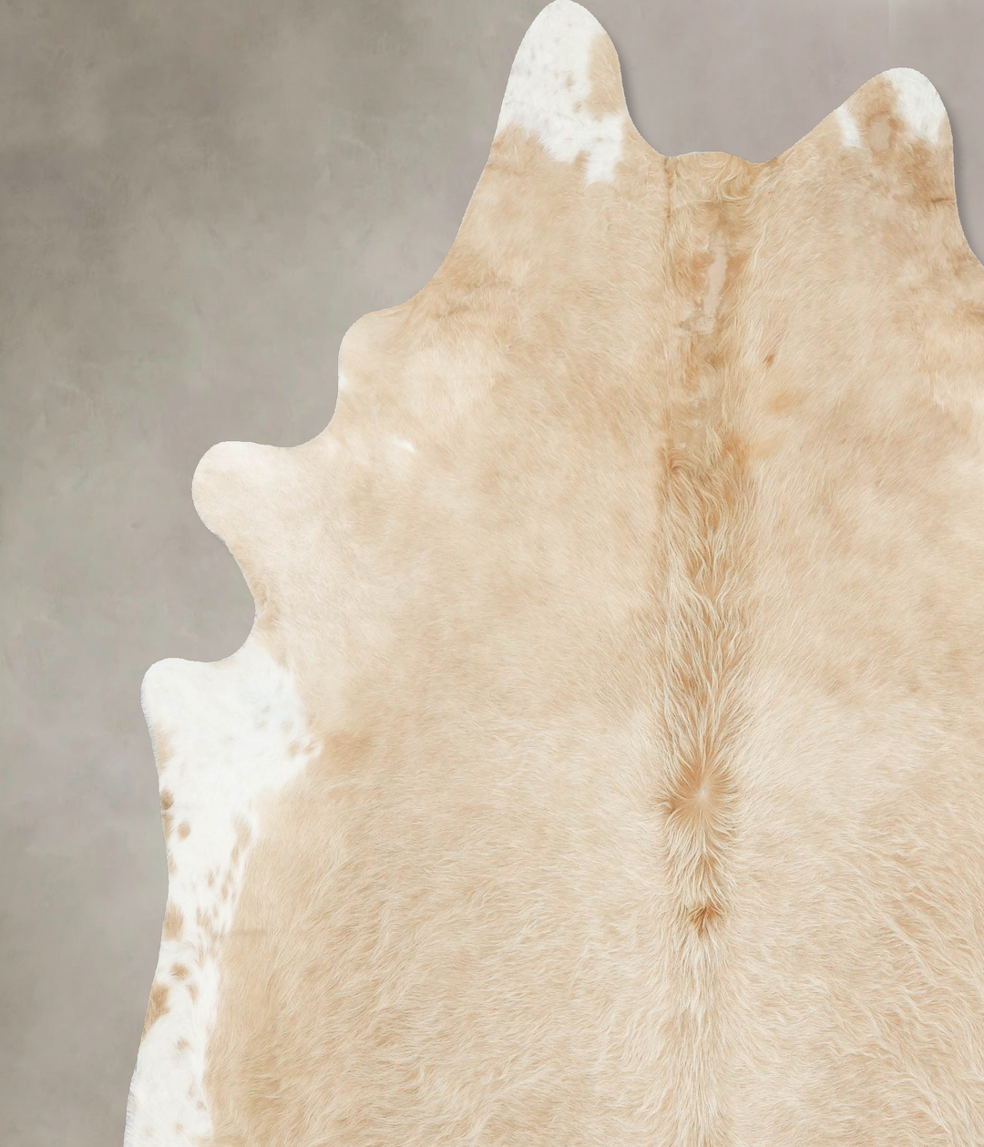 Palomino XX-Large Brazilian Cowhide Rug 9'0"H x 8'0"W #B16888 by Hudso