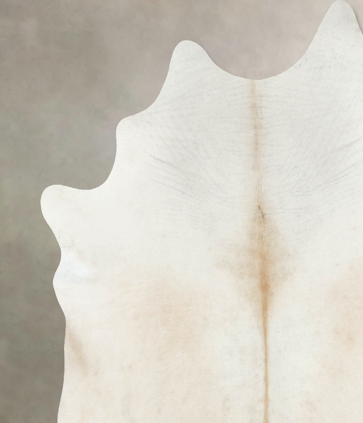 Ivory with Beige XX-Large Brazilian Cowhide Rug 8'0"H x 6'11"W #B16895 by Hudson Hides