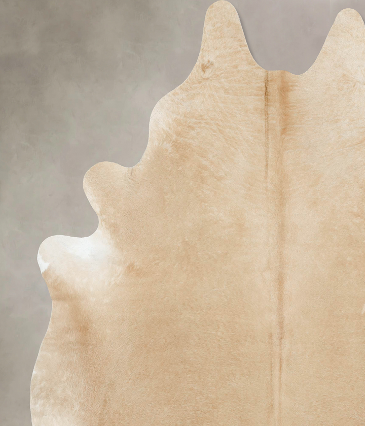 Palomino XX-Large Brazilian Cowhide Rug 8'2"H x 6'9"W #B16905 by Hudson Hides