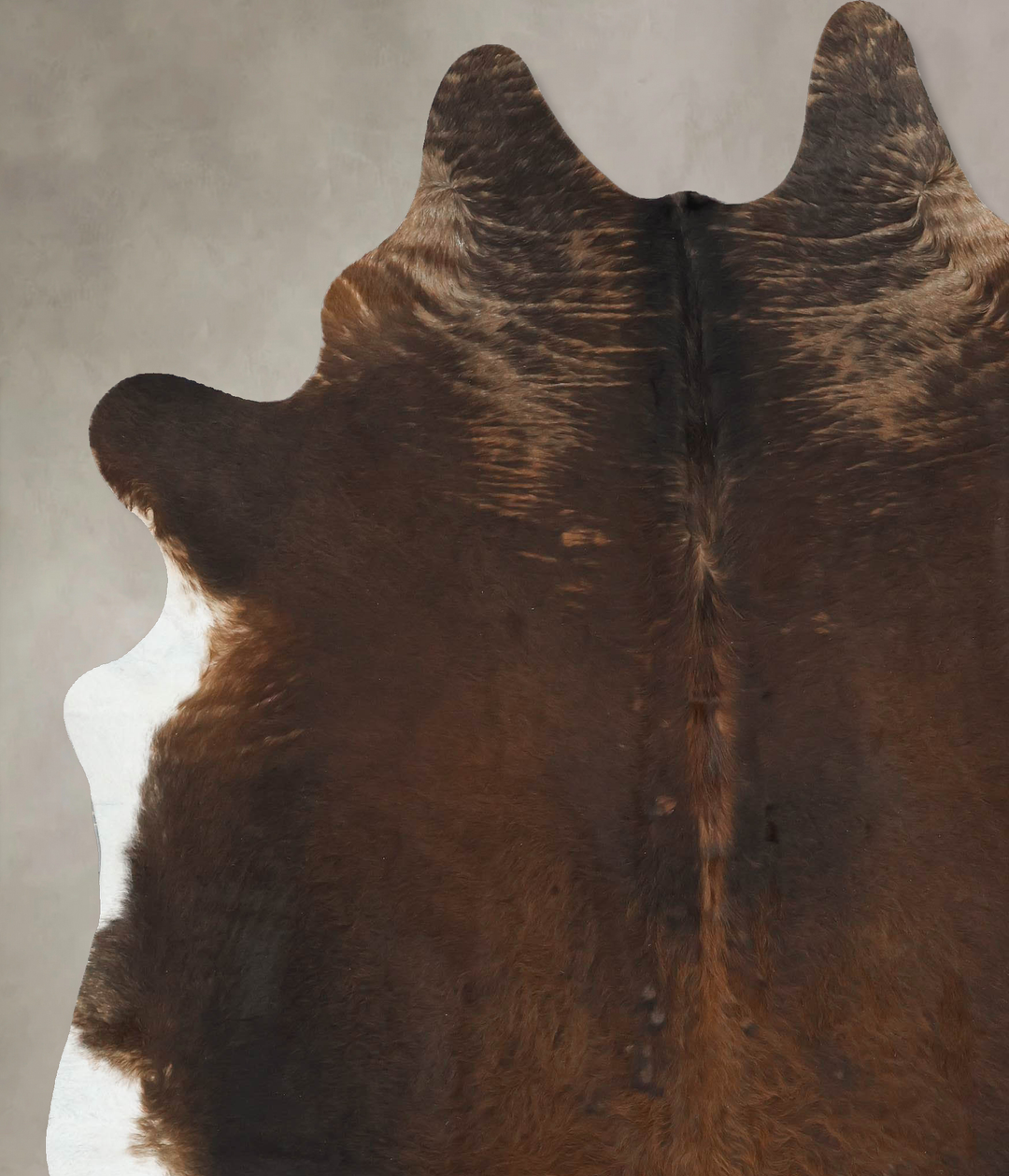 Chocolate XX-Large Brazilian Cowhide Rug 8'4"H x 6'10"W #B16912 by Hud