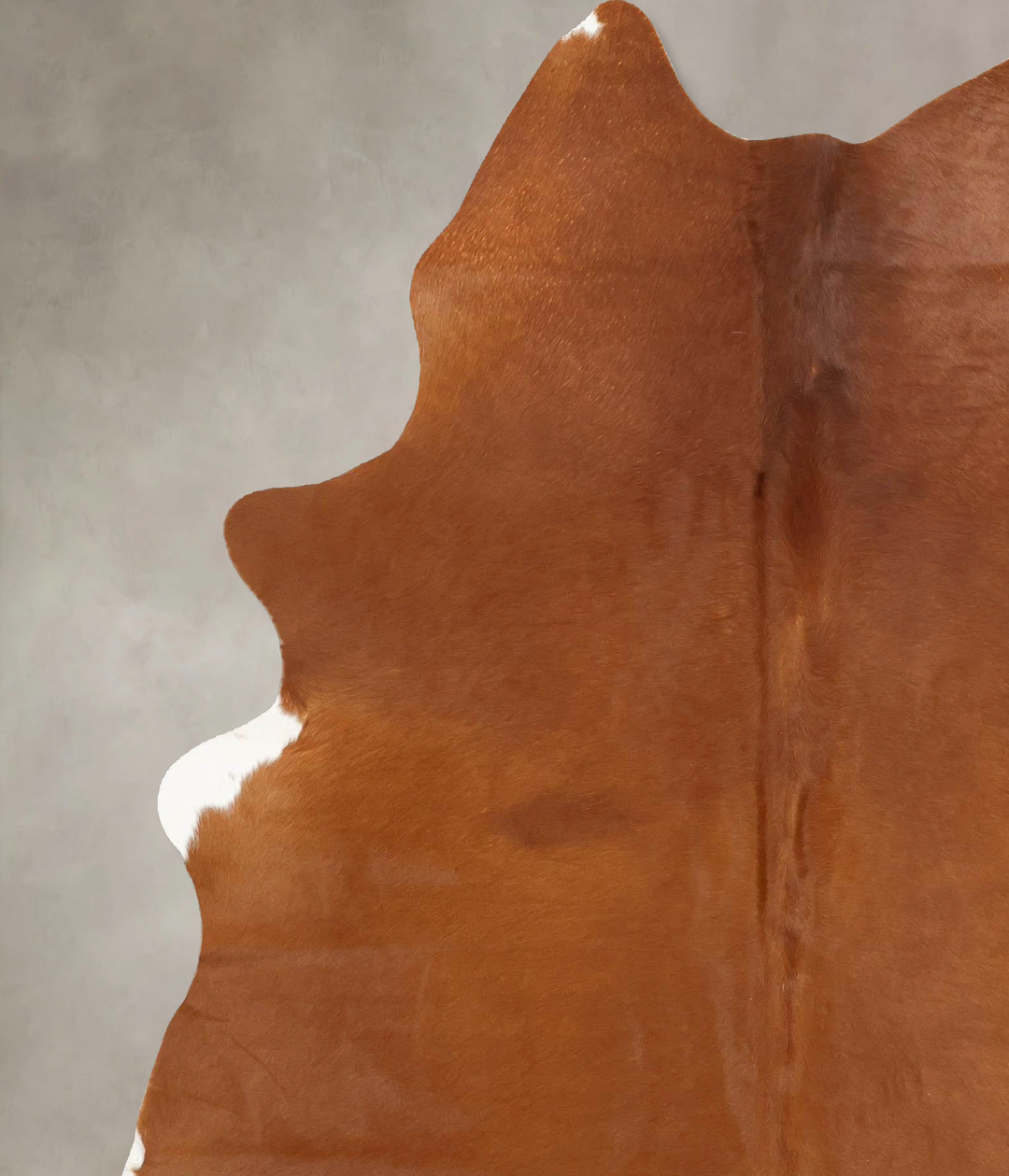 Solid Brown X-Large Brazilian Cowhide Rug 7'9"H x 6'1"W #B16918 by Hud
