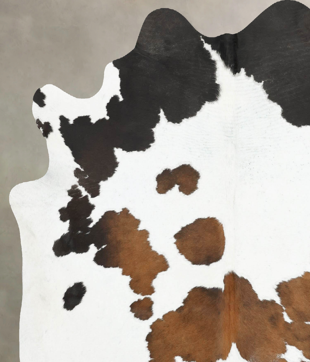 Chocolate and White Large Brazilian Cowhide Rug 6'7"H x 5'11"W #B16931