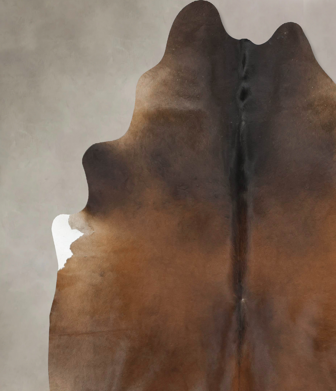 Chocolate XX-Large Brazilian Cowhide Rug 8'2"H x 7'3"W #B16939 by Huds