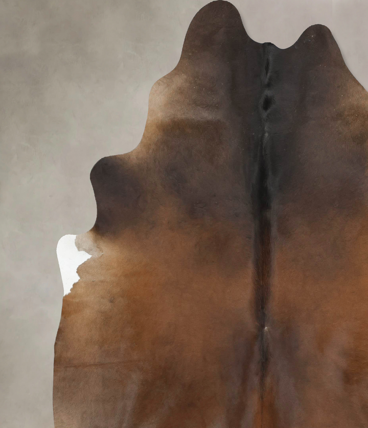 Chocolate XX-Large Brazilian Cowhide Rug 8'2"H x 7'3"W #B16939 by Hudson Hides