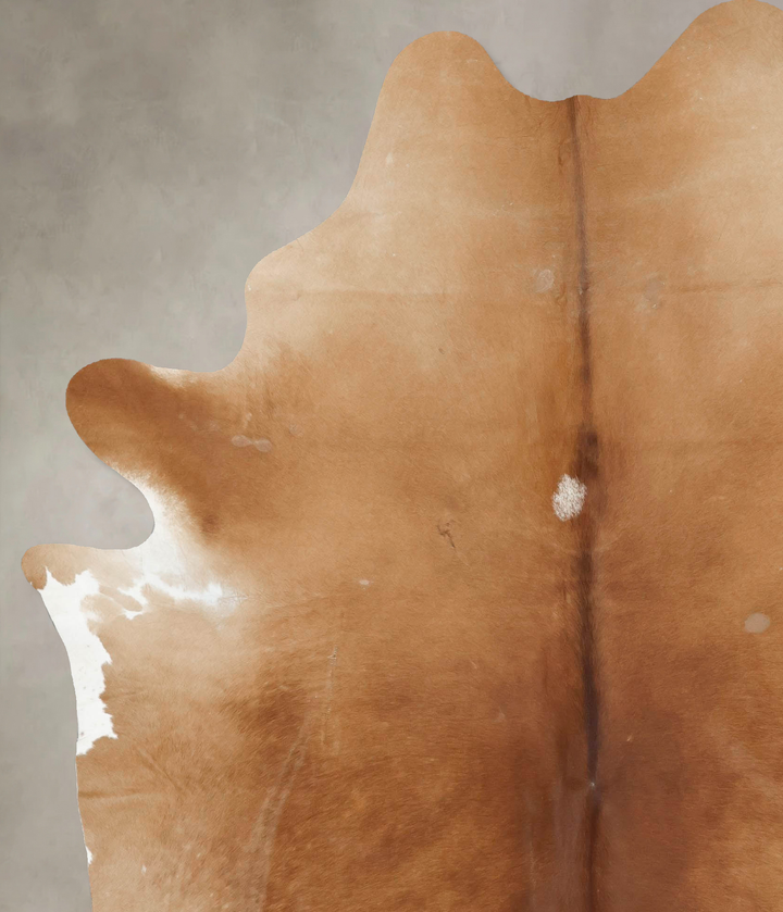 Warm Caramel XX-Large Brazilian Cowhide Rug 8'0"H x 6'6"W #B16941 by Hudson Hides