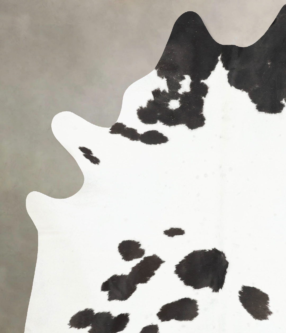 Black and White XX-Large Brazilian Cowhide Rug 8'3"H x 6'9"W #B16947 b