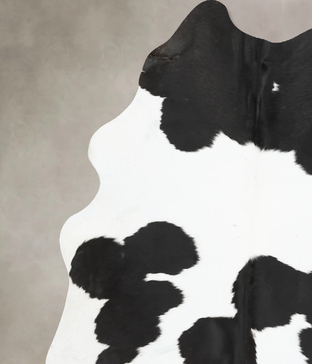 Black and White X-Large Brazilian Cowhide Rug 7'2"H x 5'10"W #B16963 b