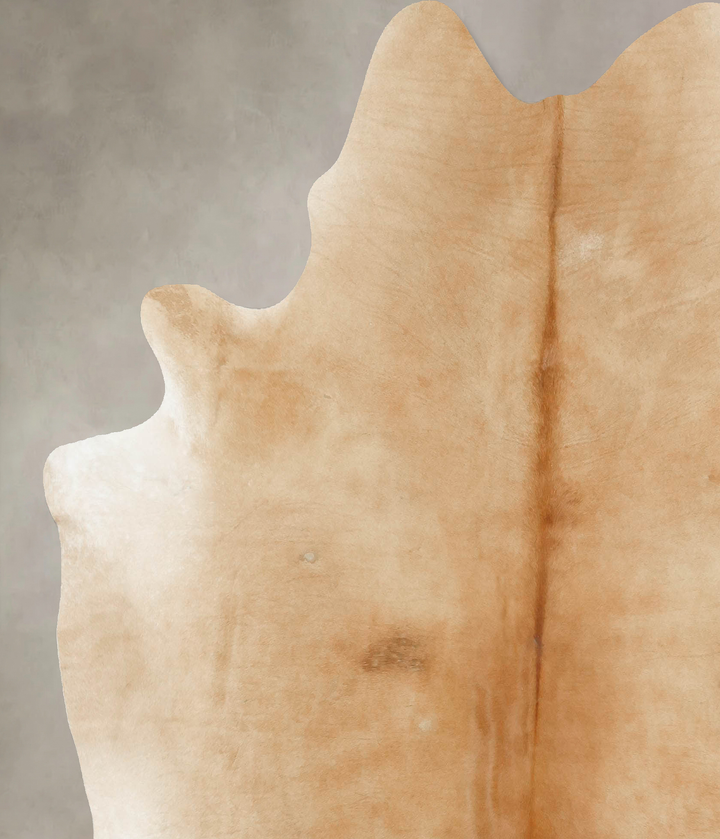 Palomino X-Large Brazilian Cowhide Rug 7'3"H x 6'7"W #B16973 by Hudson Hides