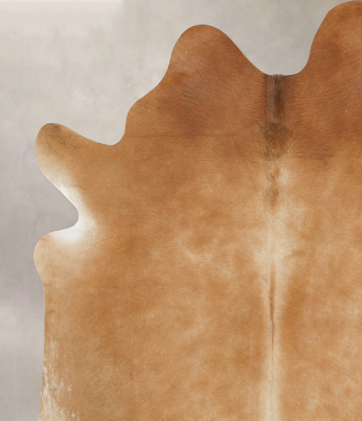 Beige XX-Large Brazilian Cowhide Rug 7'6"H x 6'10"W #B16988 by Hudson Hides