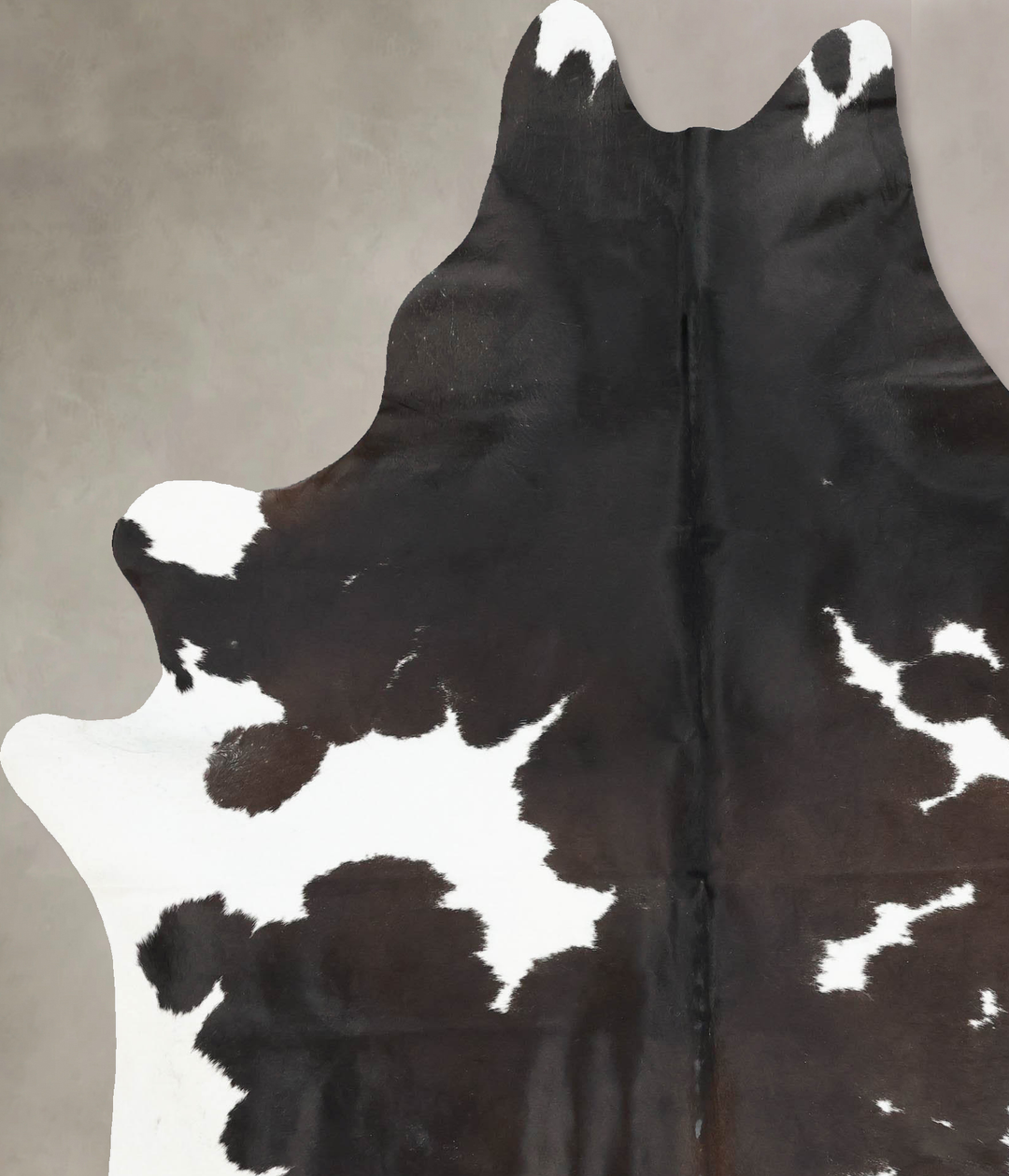 Chocolate and White XX-Large Brazilian Cowhide Rug 8'4"H x 6'5"W #B170