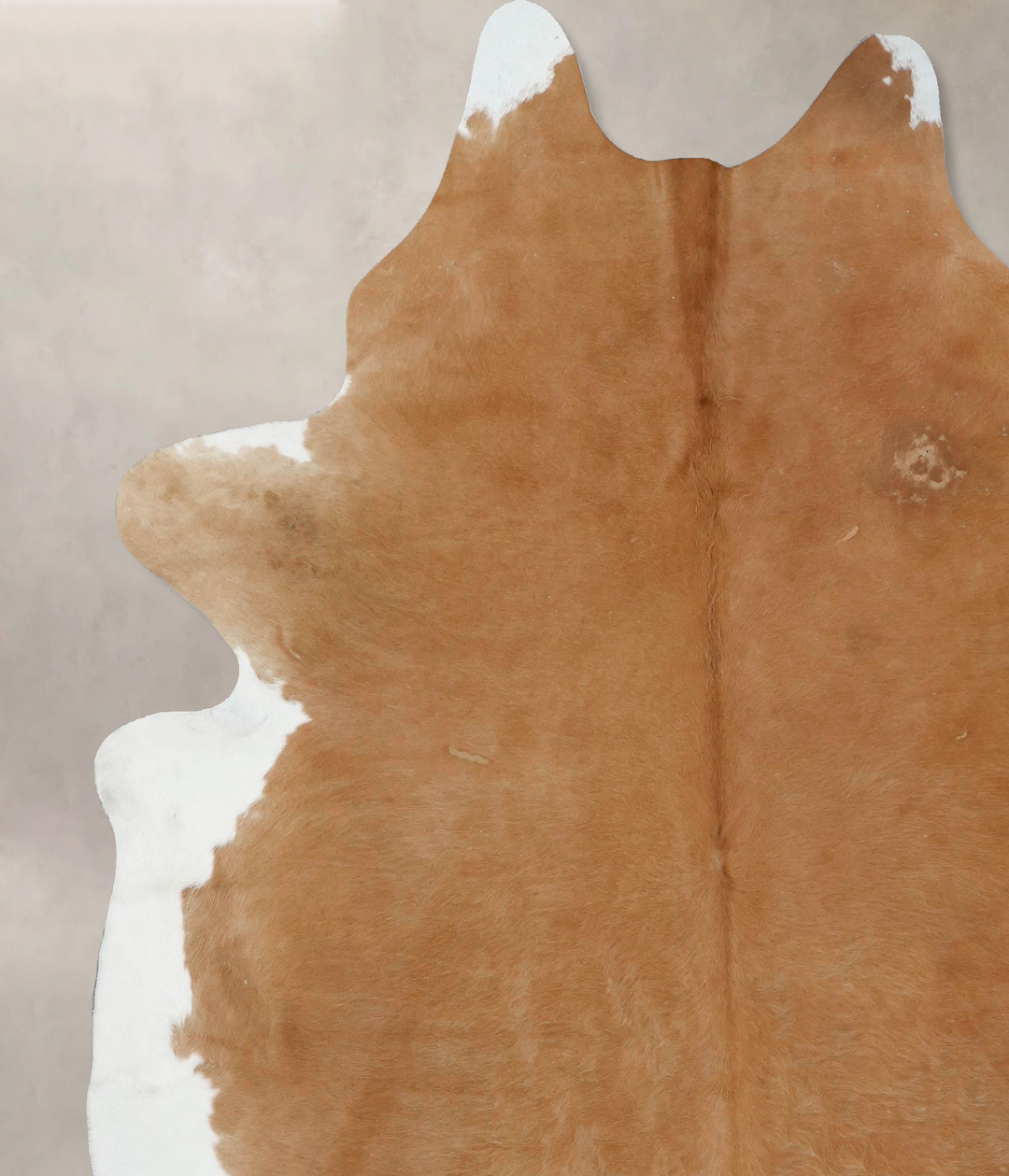Beige XX-Large Brazilian Cowhide Rug 8'1"H x 7'5"W #B17014 by Hudson H