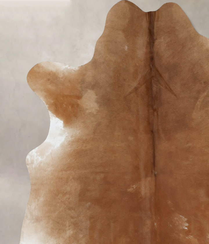 Solid Brown X-Large Brazilian Cowhide Rug 6'7"H x 6'6"W #B17044 by Hudson Hides