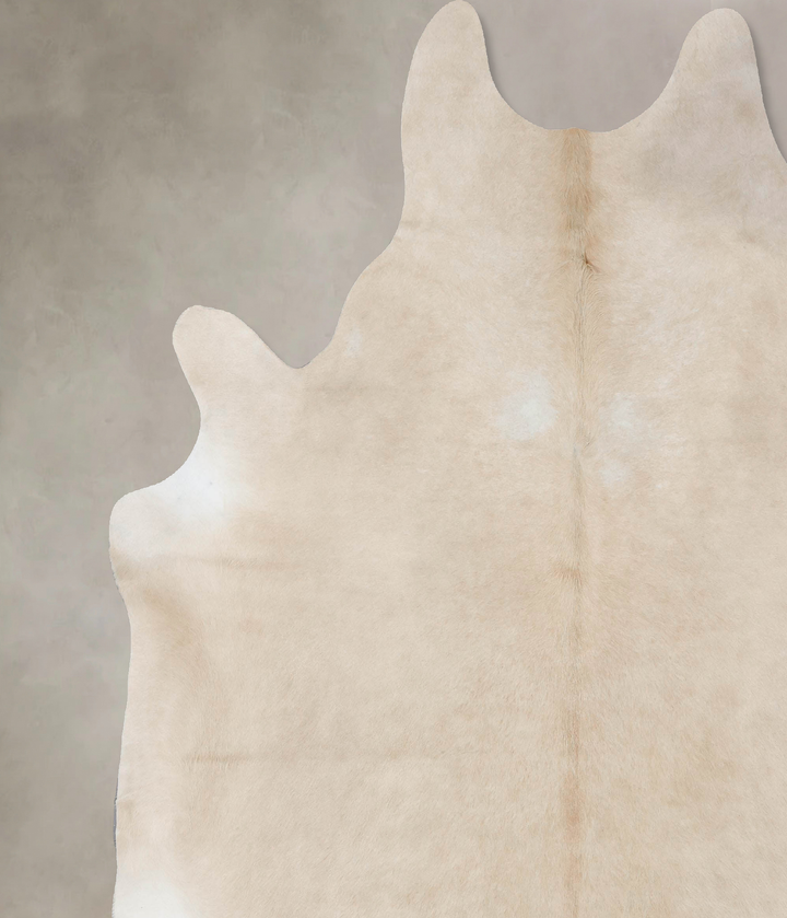 Palomino XX-Large Brazilian Cowhide Rug 8'10"H x 7'10"W #B17059 by Hudson Hides