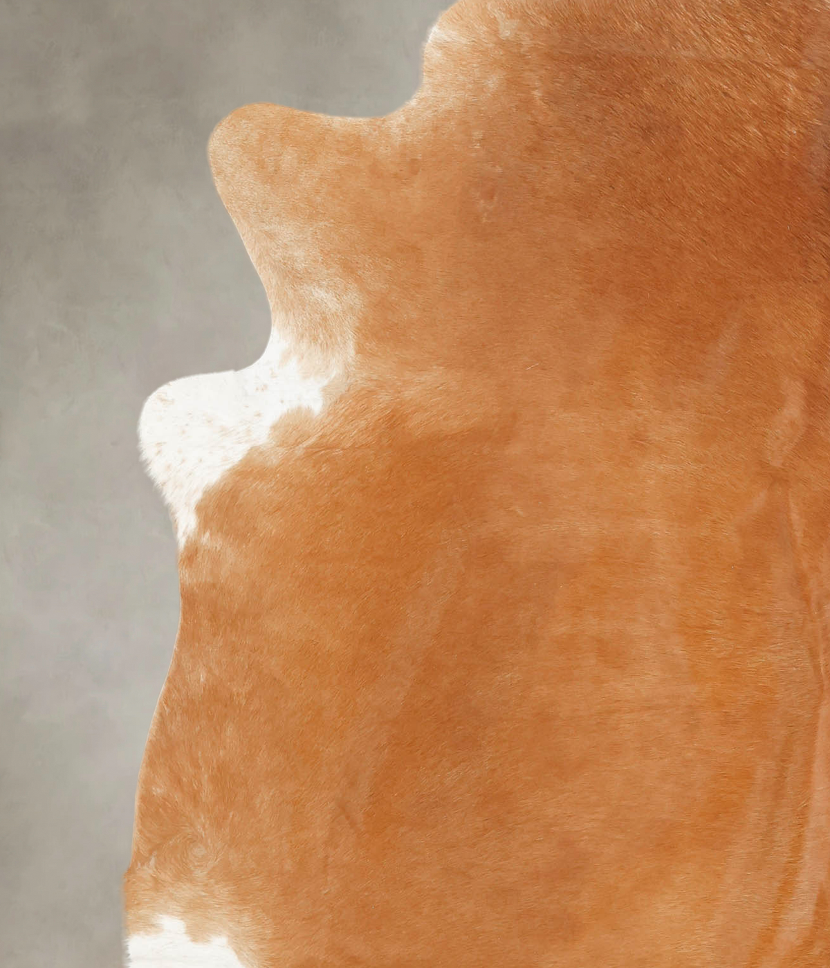 Solid Brown XX-Large Brazilian Cowhide Rug 7'5"H x 6'9"W #B1708 by Hudson Hides