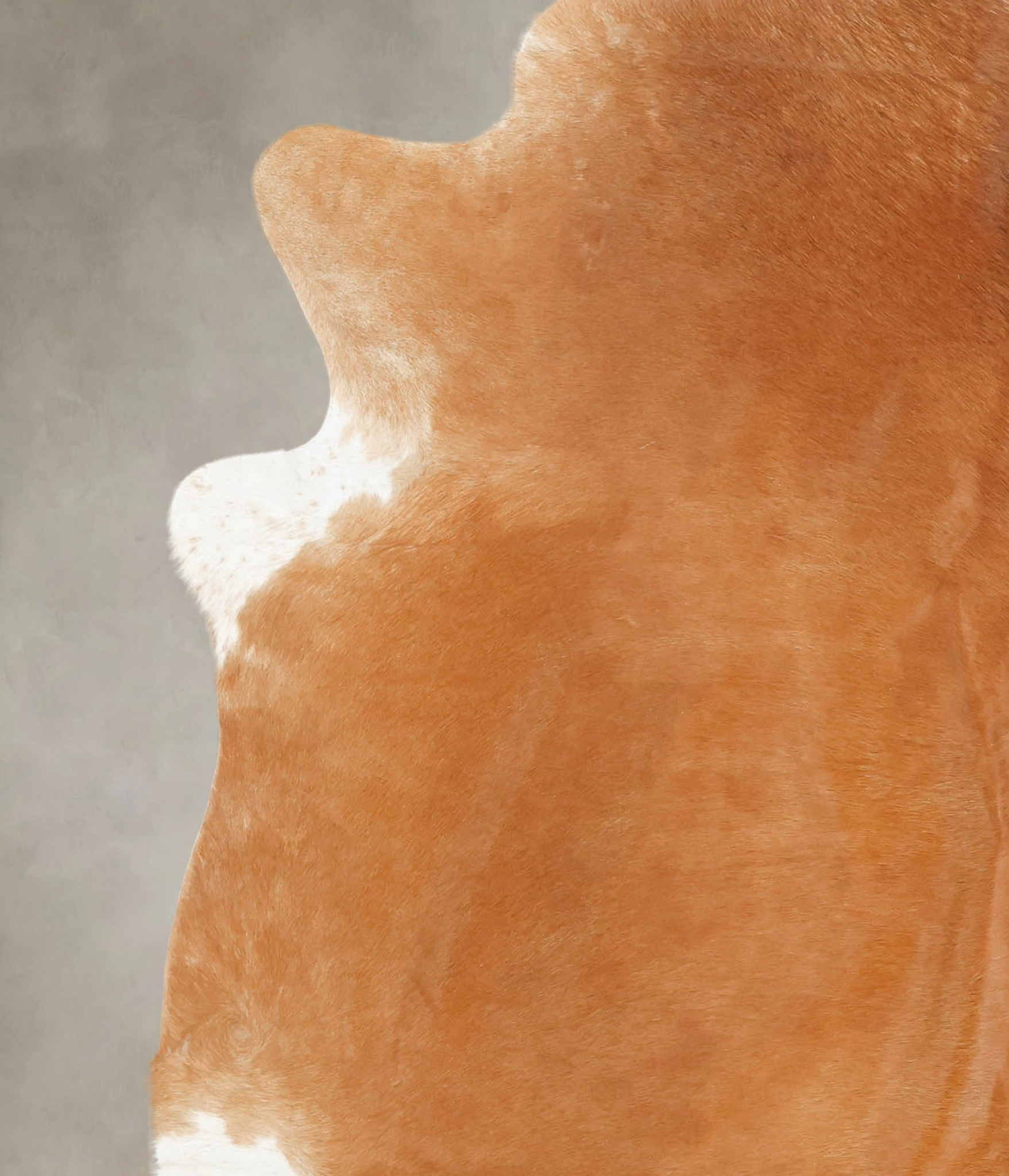 Solid Brown Cowhide Rug #B1708
