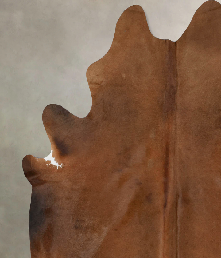 Solid Brown XX-Large Brazilian Cowhide Rug 8'9"H x 6'8"W #B17080 by Hudson Hides