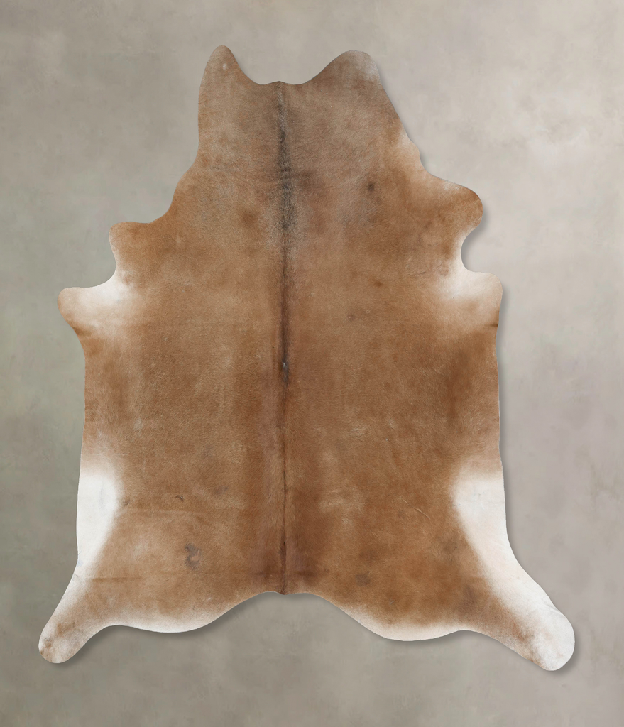 Warm Caramel XX-Large Brazilian Cowhide Rug 8'3"H x 7'7"W #B17097 by Hudson Hides