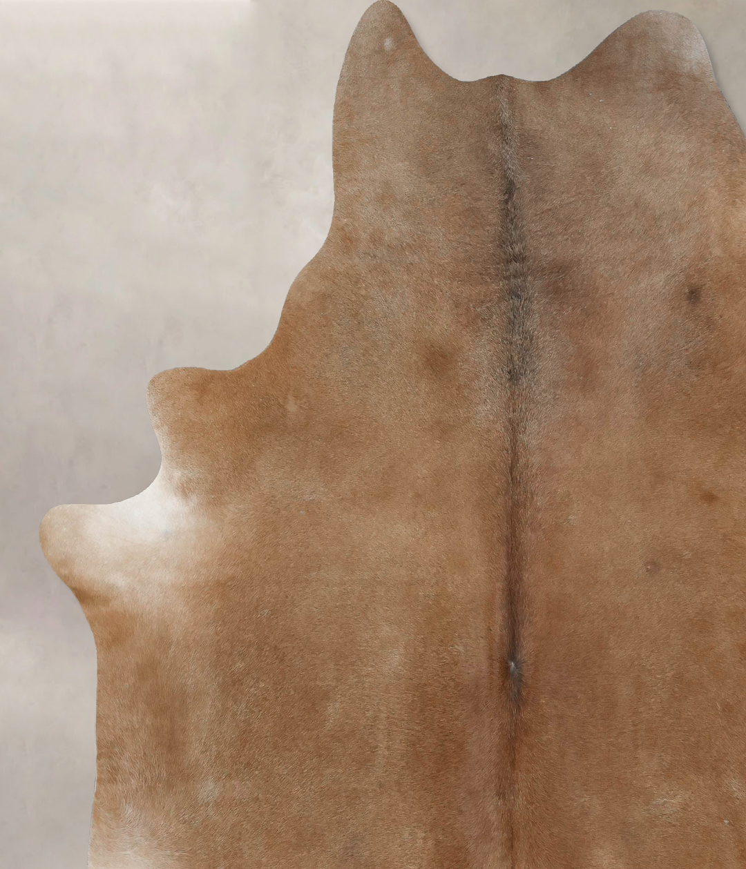 Warm Caramel XX-Large Brazilian Cowhide Rug 8'3"H x 7'7"W #B17097 by H