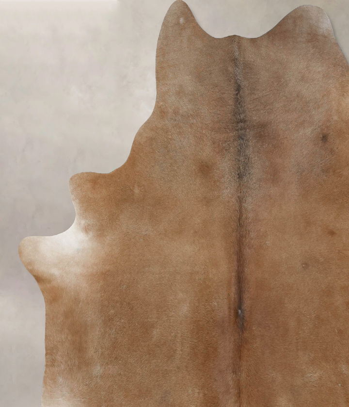 Warm Caramel XX-Large Brazilian Cowhide Rug 8'3"H x 7'7"W #B17097 by Hudson Hides