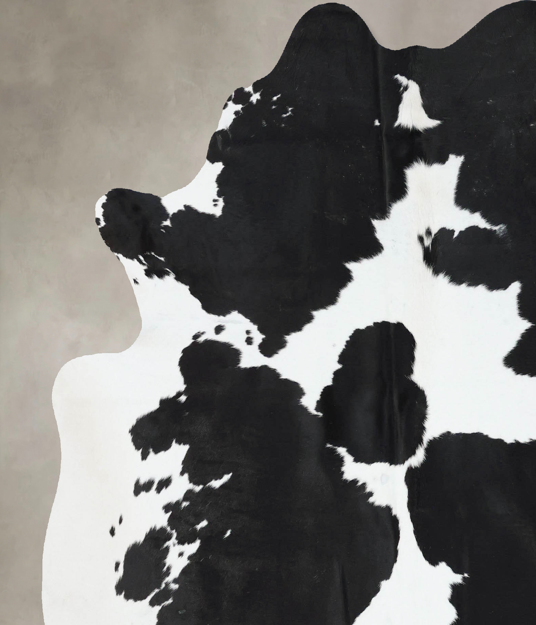 Black and White X-Large Brazilian Cowhide Rug 6'11"H x 6'2"W #B17099 b