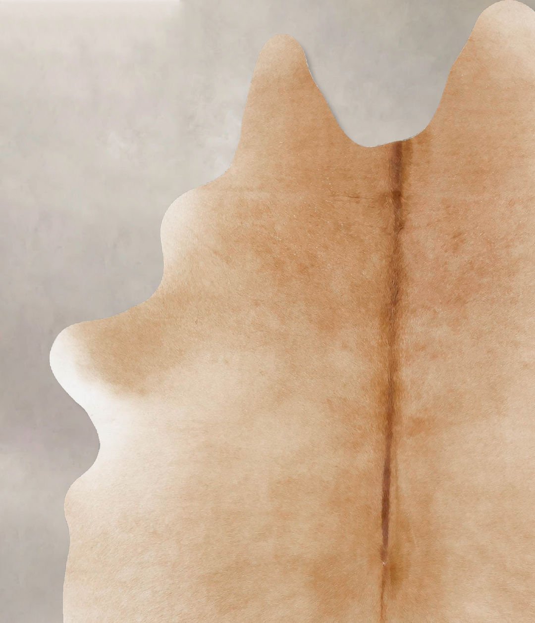 Beige X-Large Brazilian Cowhide Rug 7'7"H x 5'5"W #B17119 by Hudson Hi