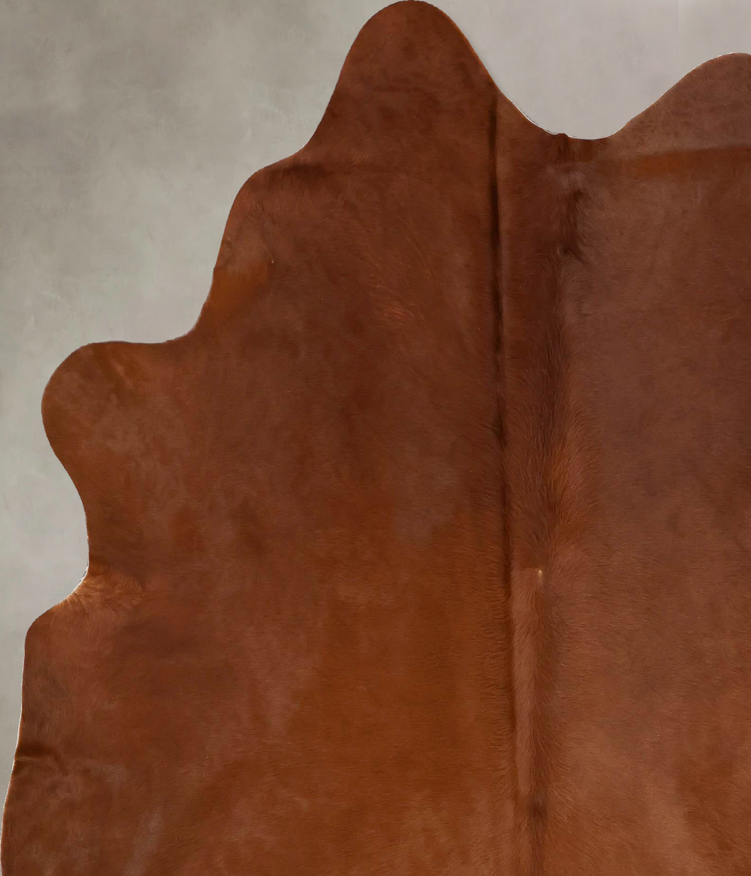 Solid Brown X-Large Brazilian Cowhide Rug 6'9"H x 6'3"W #B17124 by Hud