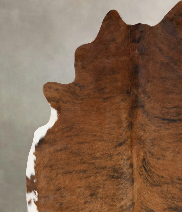 Medium Brindle X-Large Brazilian Cowhide Rug 7'4"H x 6'5"W #B17127 by Hudson Hides