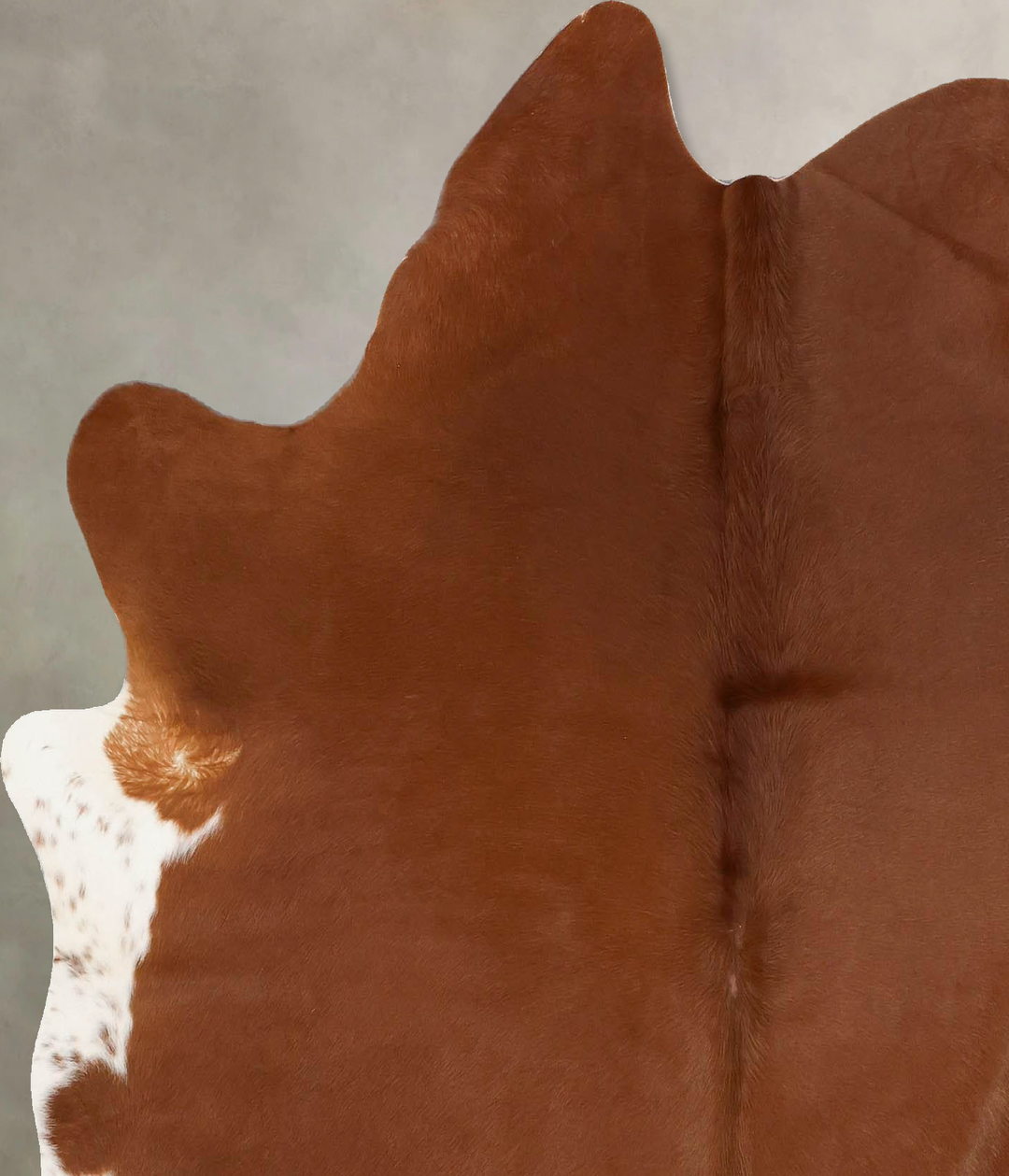 Brown and White Regular Large Brazilian Cowhide Rug 5'11"H x 5'7"W #B1