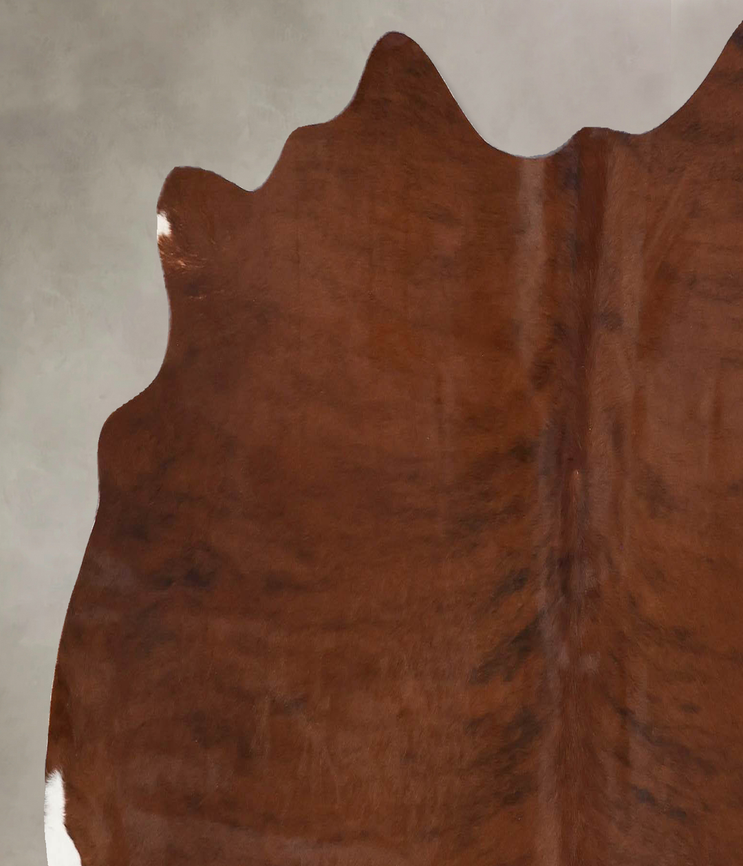 Medium Brindle Large Brazilian Cowhide Rug 5'1"H x 6'0"W #B17132 by Hu