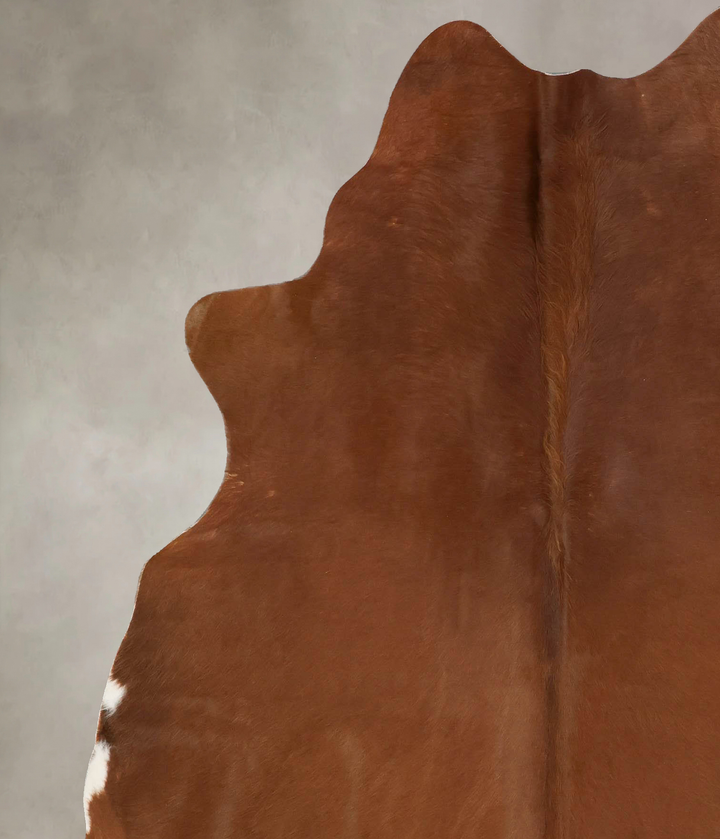 Solid Brown X-Large Brazilian Cowhide Rug 7'1"H x 5'11"W #B17146 by Hudson Hides