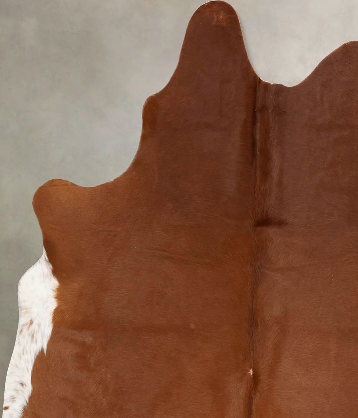 Brown and White Regular Large Brazilian Cowhide Rug 5'10"H x 5'6"W #B17147 by Hudson Hides