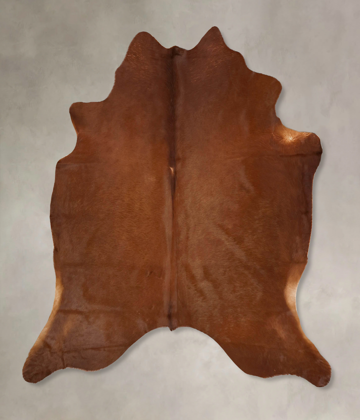 Solid Brown X-Large Brazilian Cowhide Rug 6'8"H x 6'6"W #B17149 by Hudson Hides